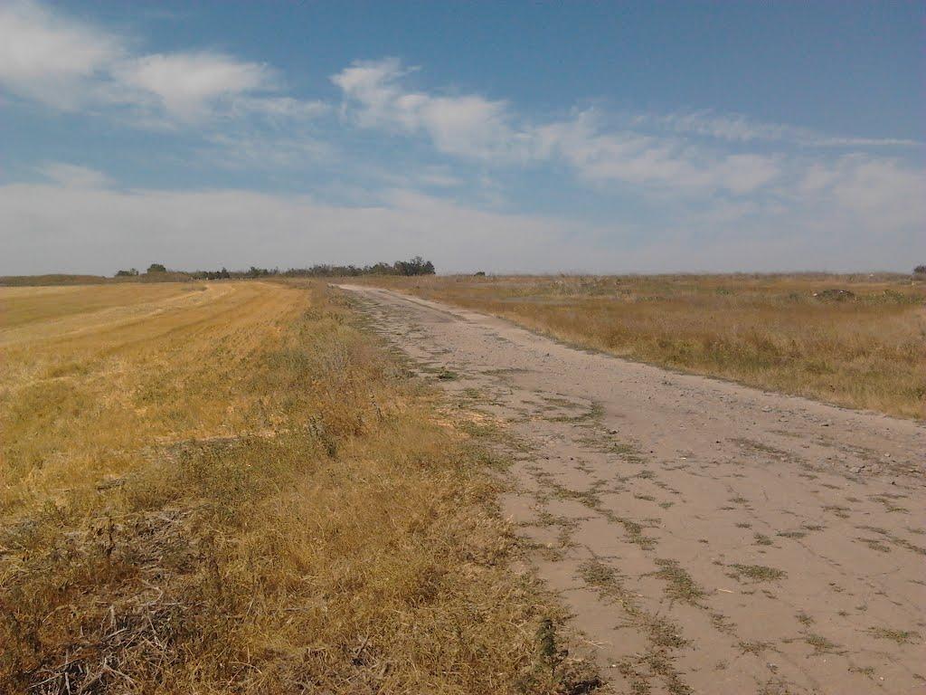 Васинівка з panoramio.com - Васиновка