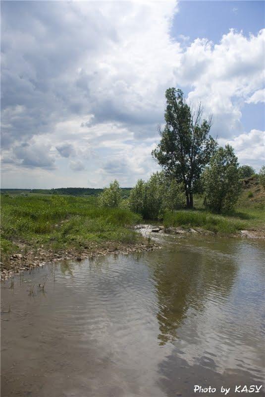 Кінські Роздори з panoramio.com - Кінські Роздори