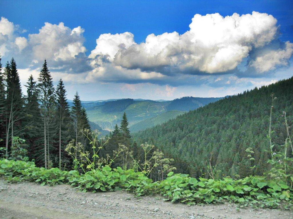 Долішній Шепіт з panoramio.com - Долишний Шепот