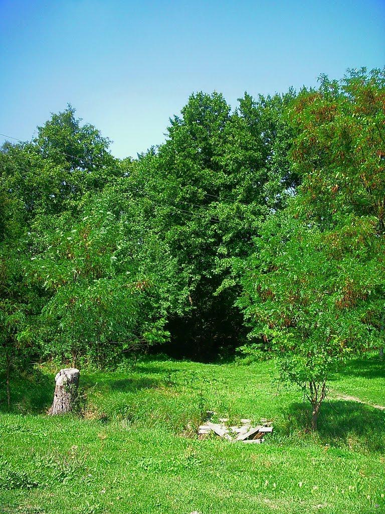 Плотинне з panoramio.com - Плотинное