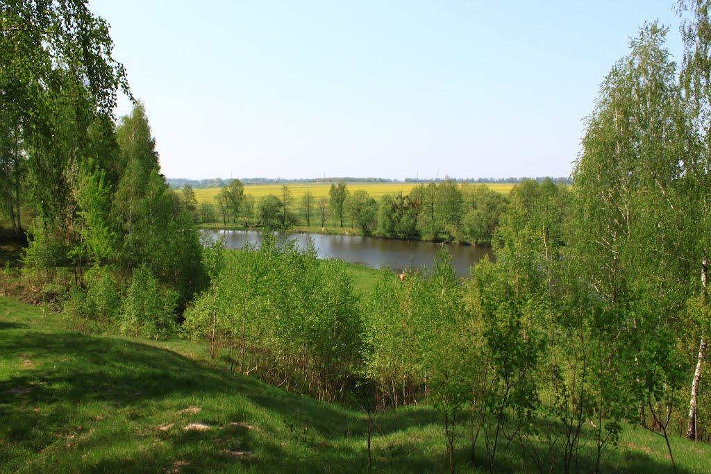 Колодяжне з panoramio.com - Колодяжне