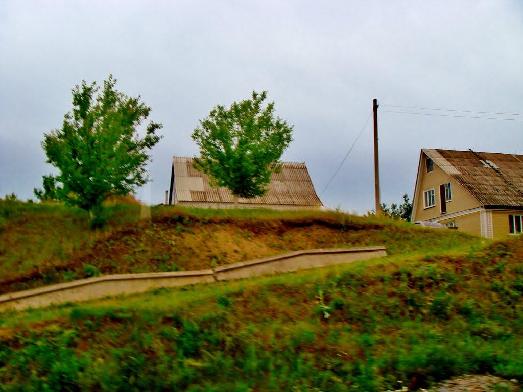 Неморож з panoramio.com - Nemorozh