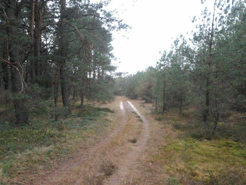 Жиричі з panoramio.com - Жиричі