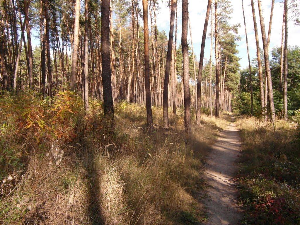 Сіряки з panoramio.com - Сіряки