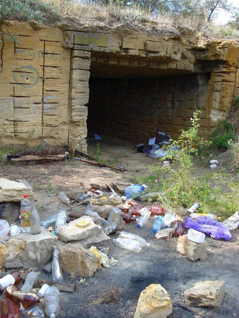 Ковалівка з panoramio.com - Ковалівка
