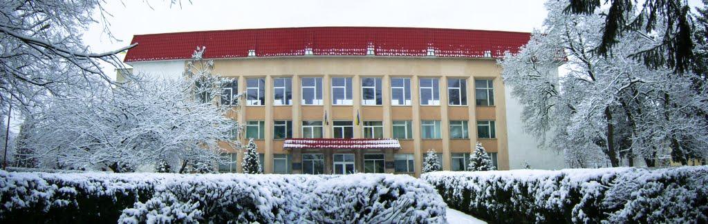 Іршава з panoramio.com - Irshava