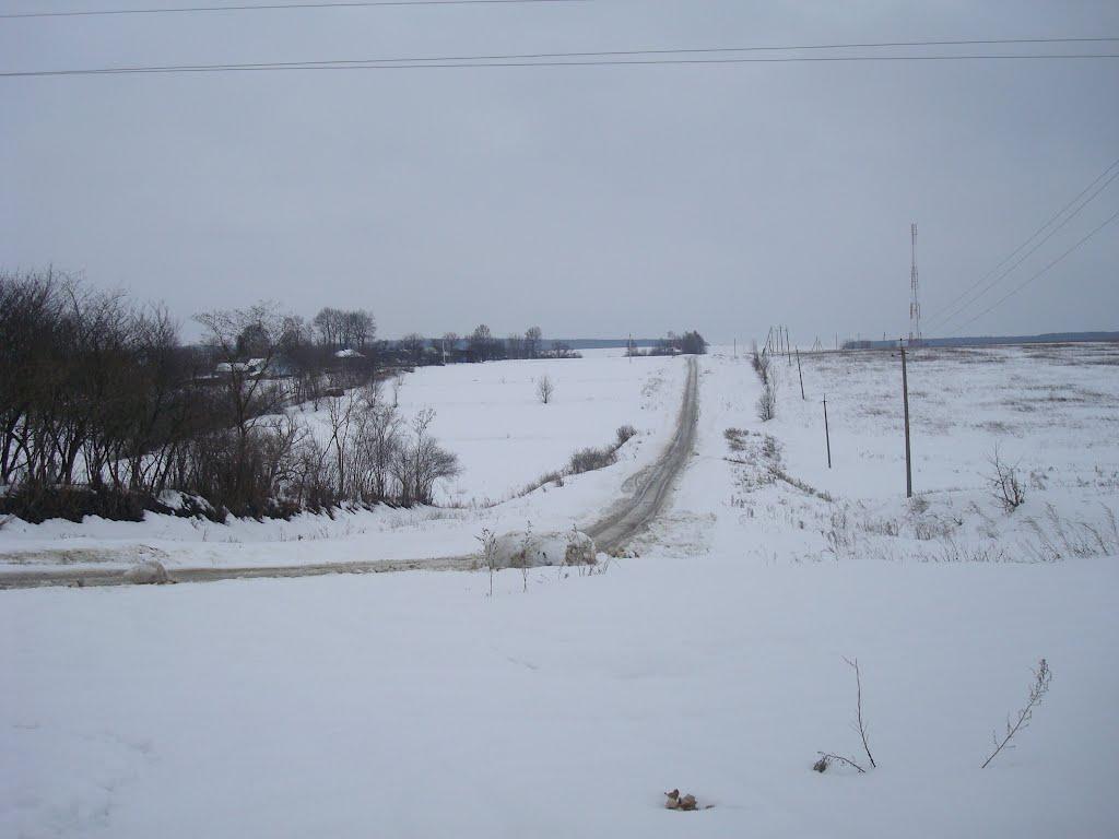 Борщівка з panoramio.com - Борщівка