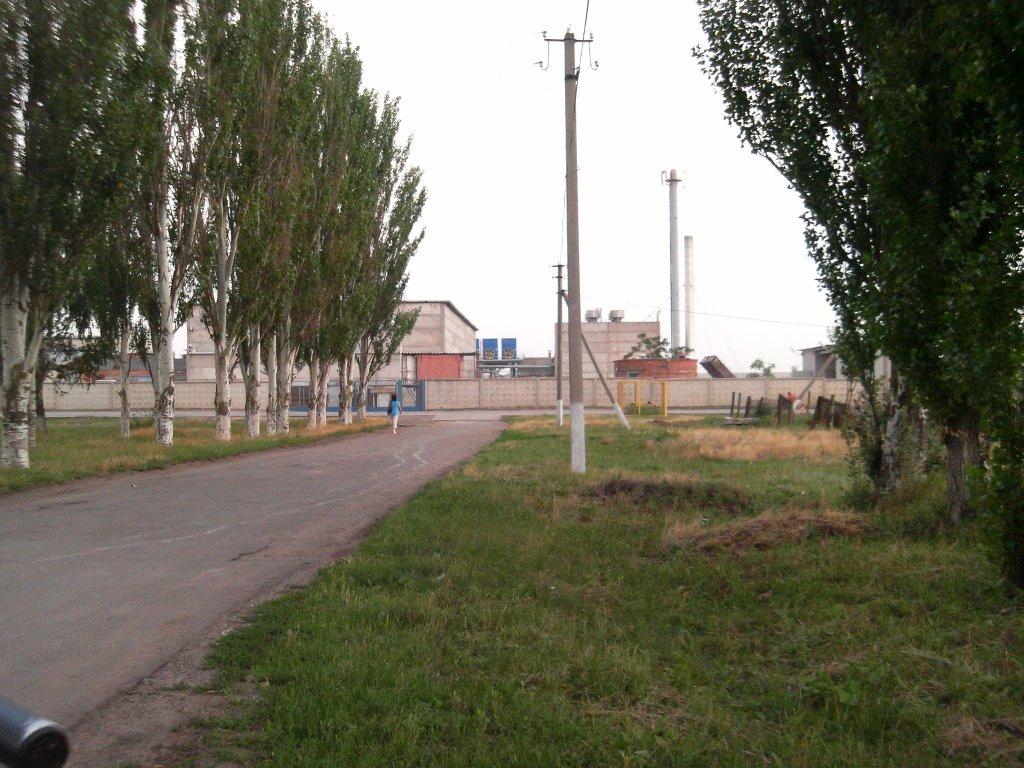 Миколаївське з panoramio.com - Николаевское