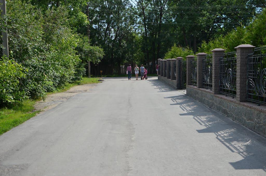 Маньківка з panoramio.com - Маньковка