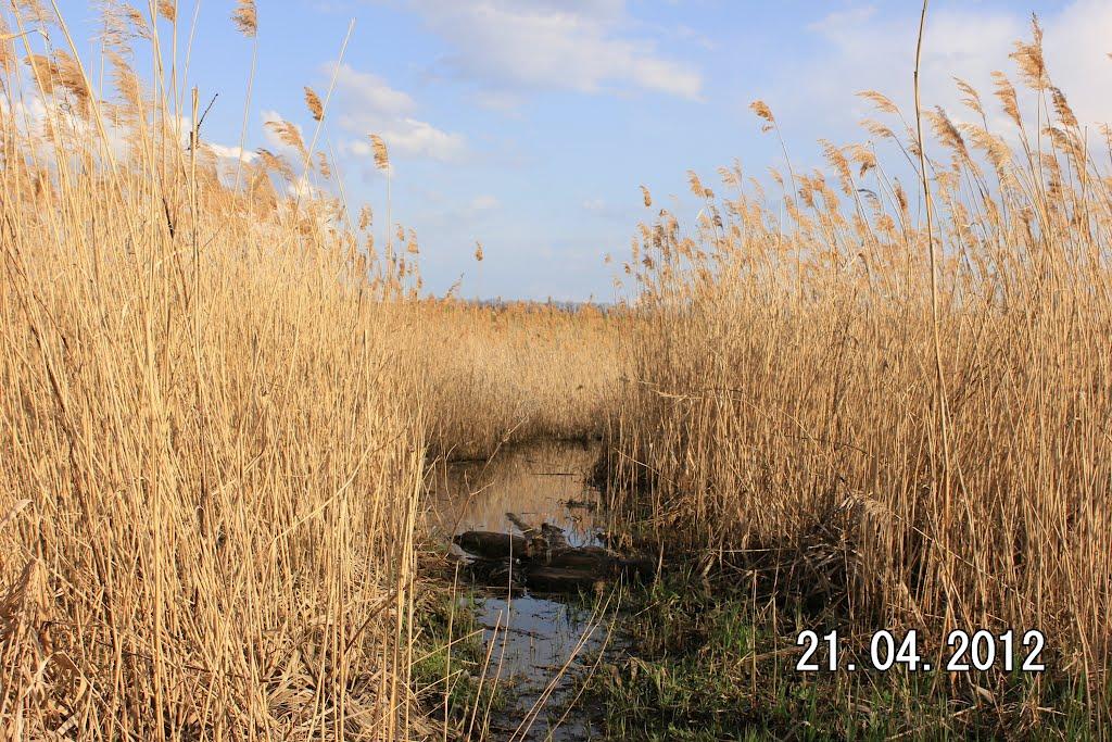 Гвоздьове з panoramio.com - Гвоздьове