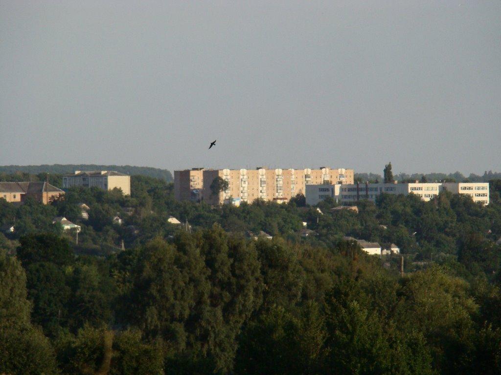 Маньківка з panoramio.com - Маньківка