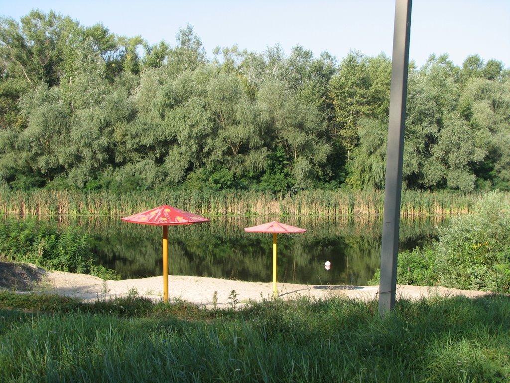 Кияшки з panoramio.com - Кияшки