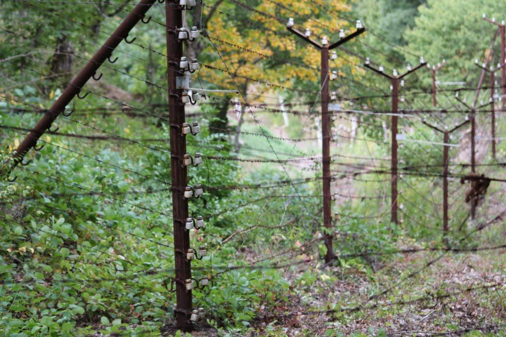 Краснокам'янка з panoramio.com - Краснокаменка