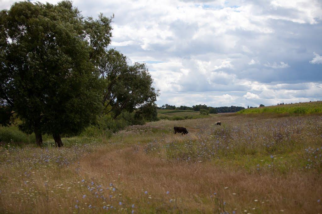 Харліївка з panoramio.com - Харлиевка