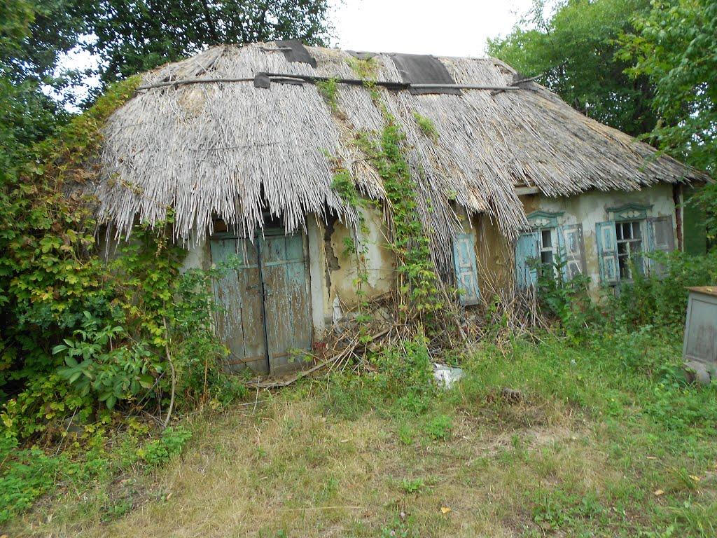 Вергуни з panoramio.com - Вергуни