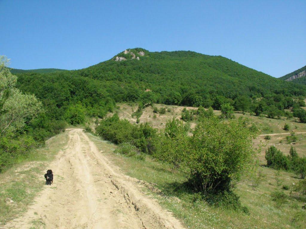 Багата Ущелина з panoramio.com - Bagata Uschelyna