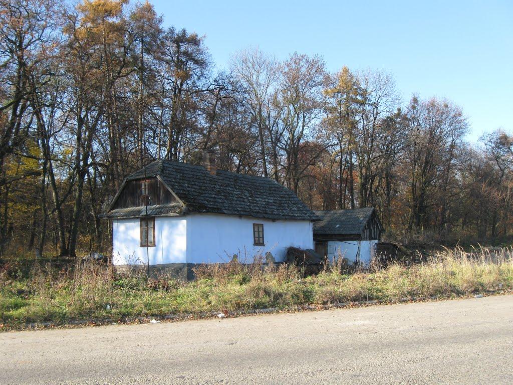 Розділ з panoramio.com - Rozdil