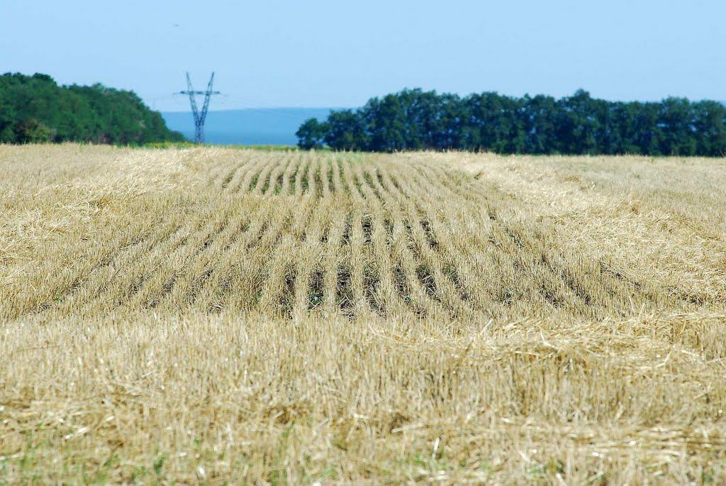 Глинське з panoramio.com - Глинське