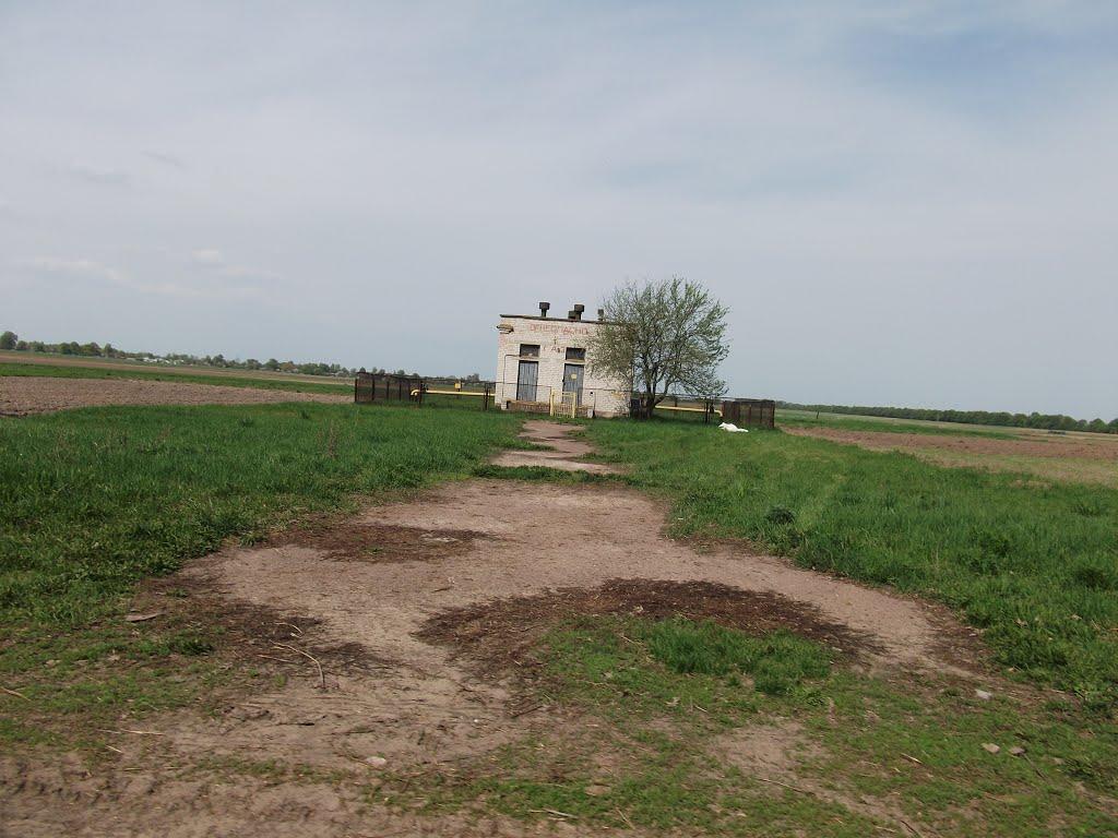 Виблі з panoramio.com - Виблі