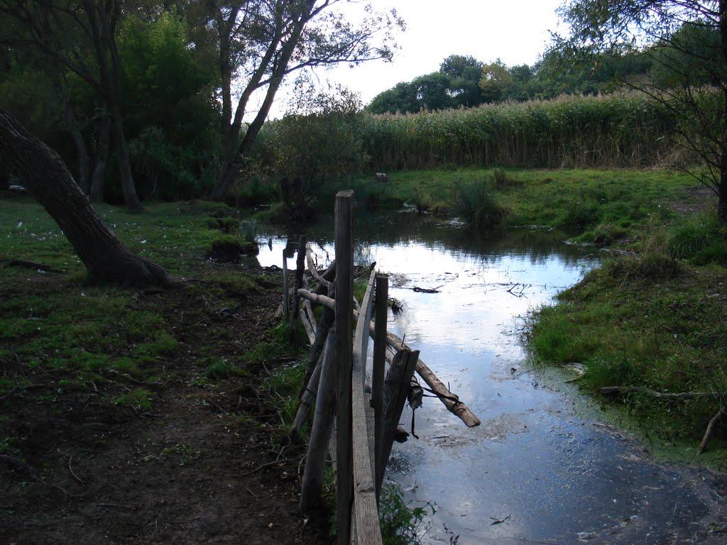Берека з panoramio.com - Берека