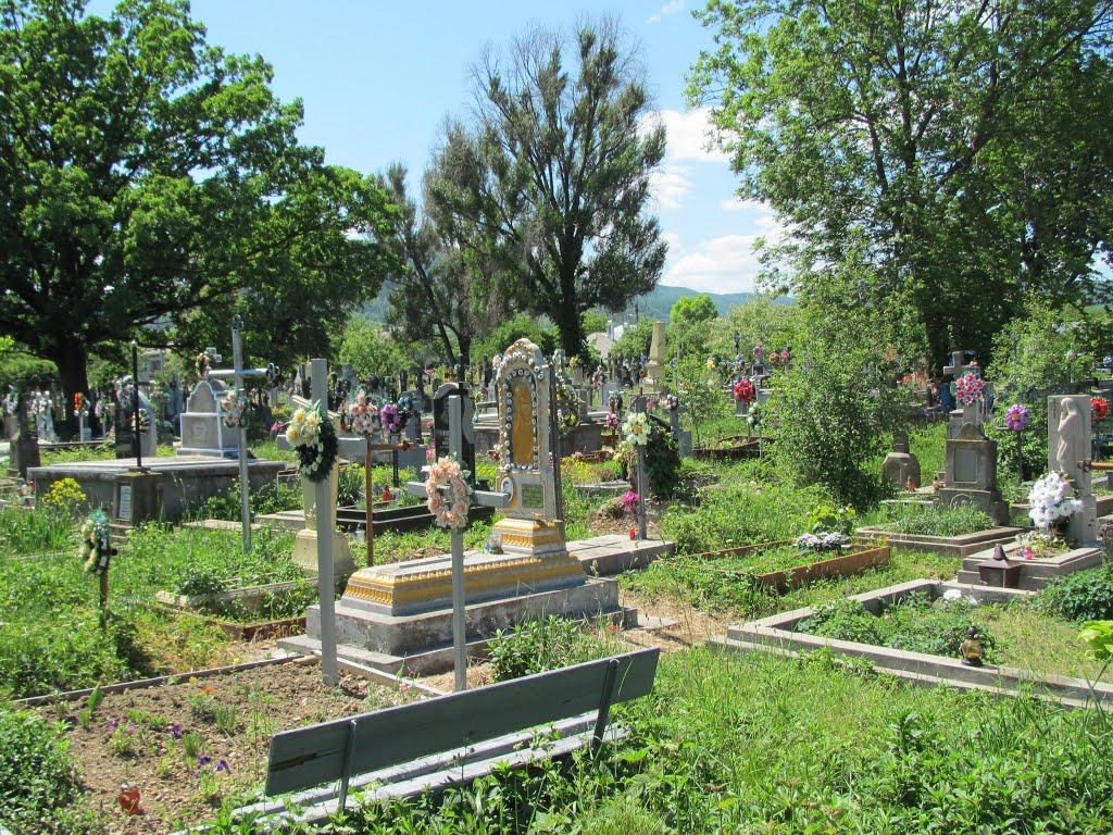 Кути з panoramio.com - Kuty