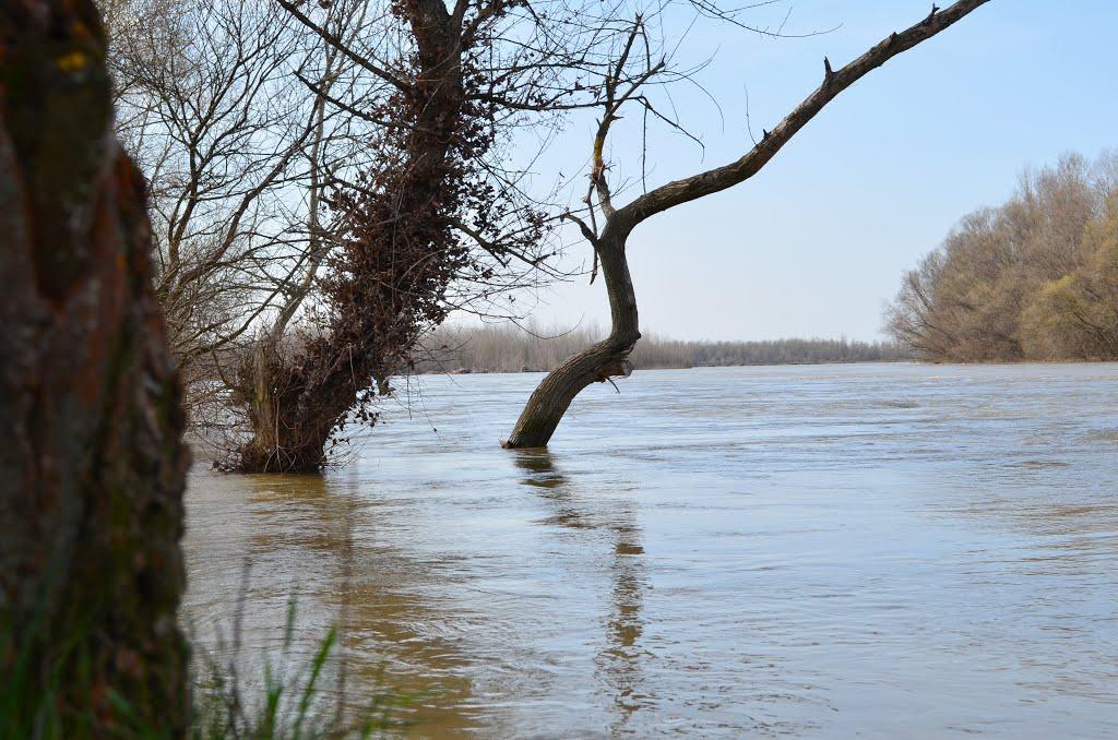 Гетиня з panoramio.com - Гетиня