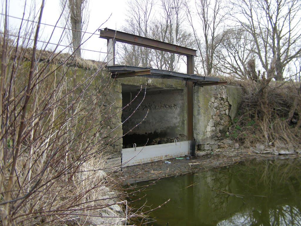 Вороне з panoramio.com - Вороное