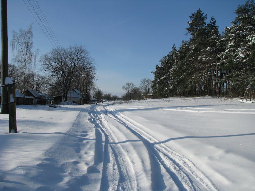 Троянівка з panoramio.com - Трояновка