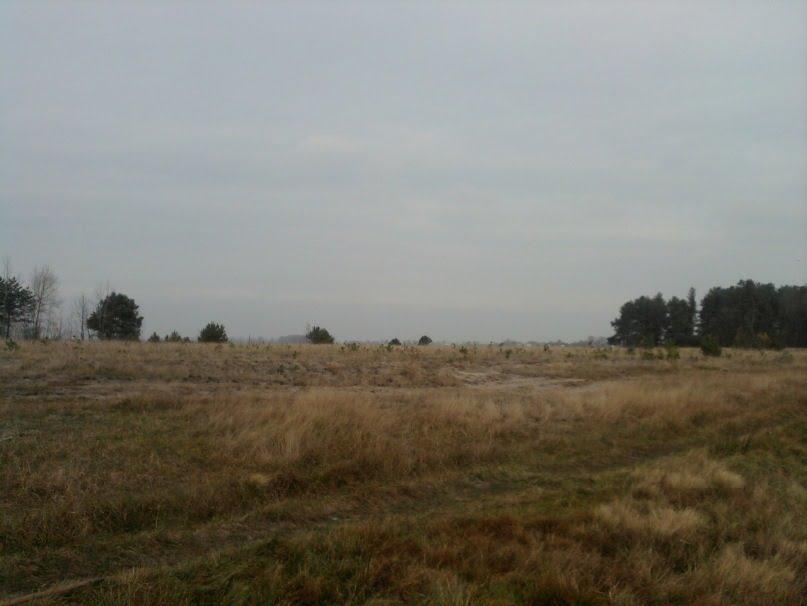 Жиричі з panoramio.com - Жиричі