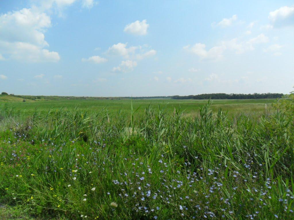 Новоазовськ з panoramio.com - Новоазовськ