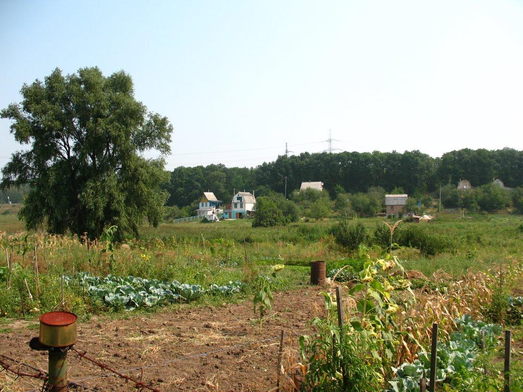 Чемужівка з panoramio.com - Чемужовка