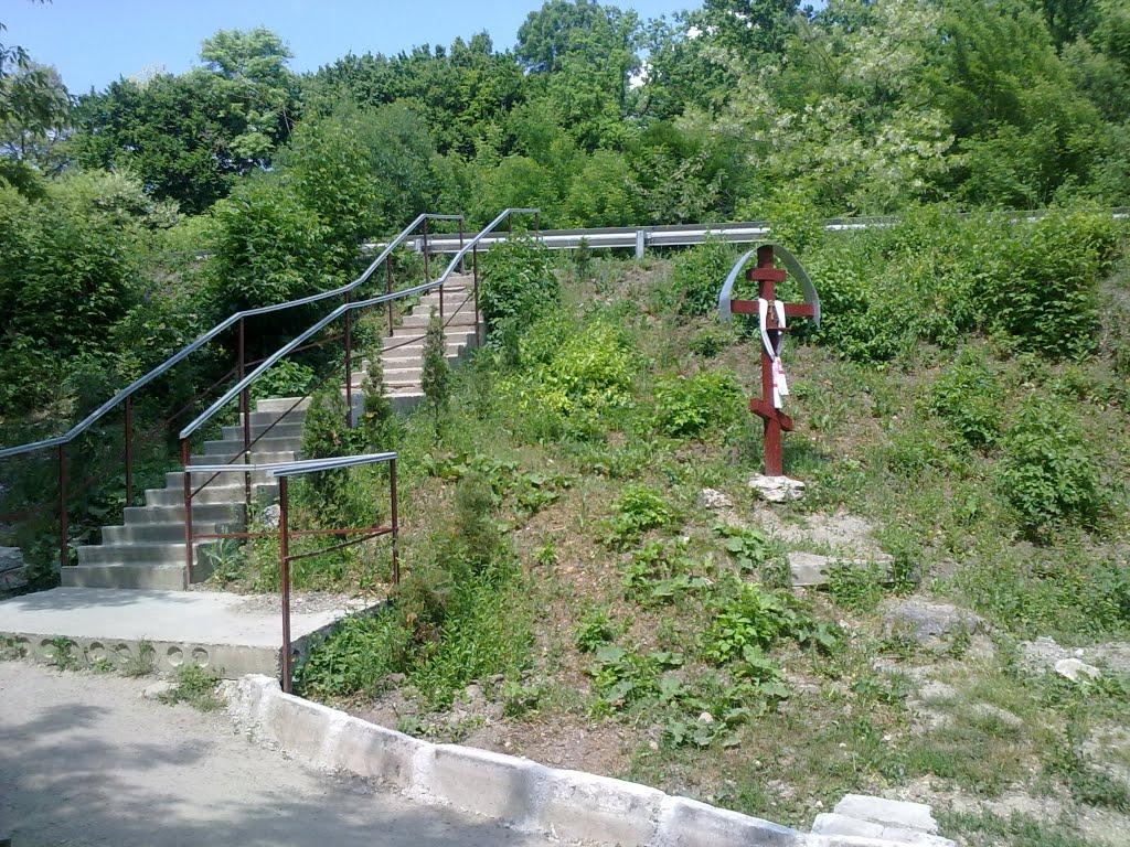 Дем'янківці з panoramio.com - Дем'янківці