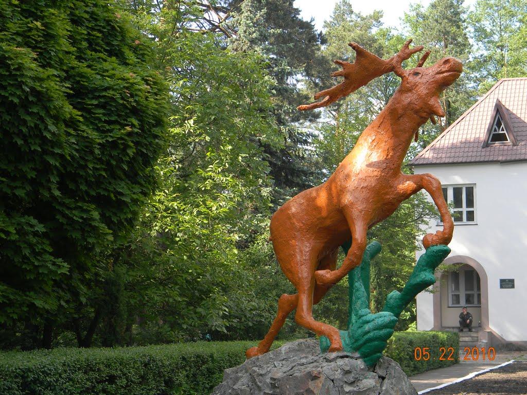 Глушицьке з panoramio.com - Глушицьке