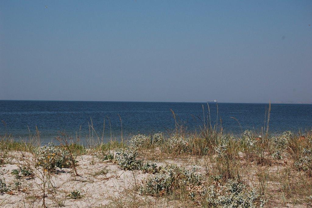 Очаків з panoramio.com - Очаков