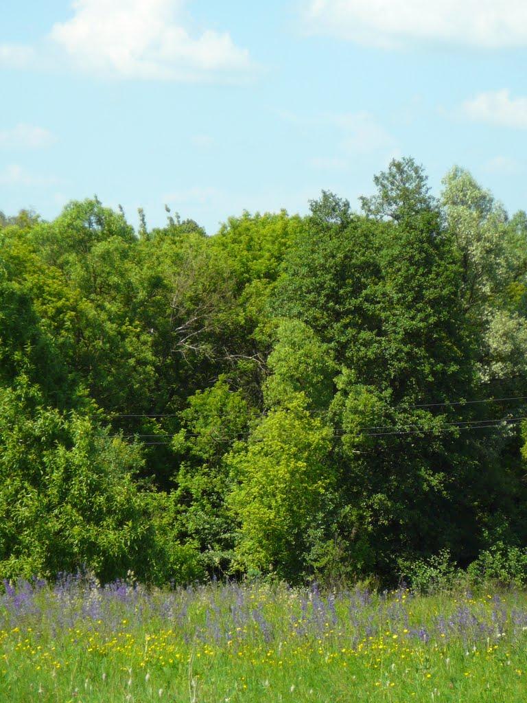 Люджа з panoramio.com - Люджа