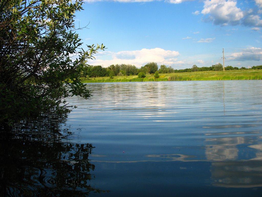 Шандрівка з panoramio.com - Шандрівка