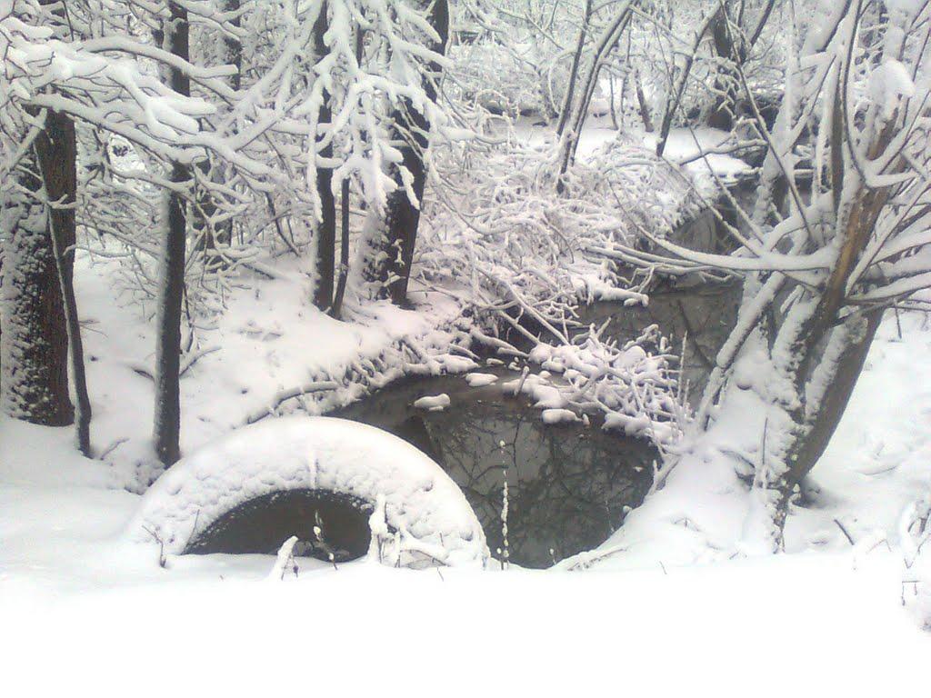 Довгий Войнилів з panoramio.com - Довгий Войнилів