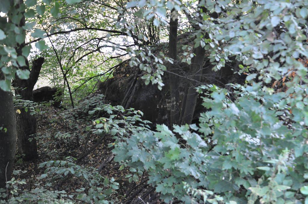 Княгиня з panoramio.com - Knyagynya
