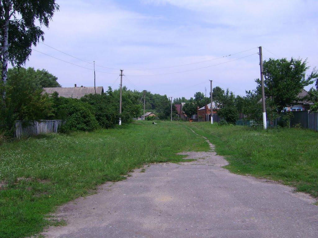 Кирияківщина з panoramio.com - Кирияковщина