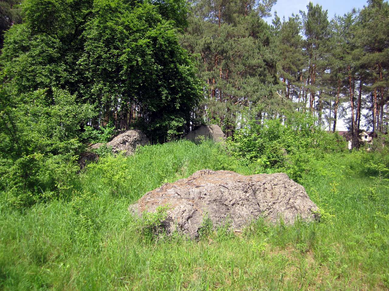 Околиці Юрівки (доти) - Юровка