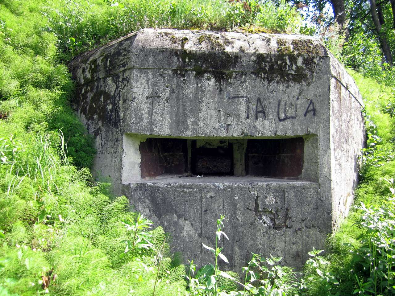 Околиці Юрівки (доти) - Юровка