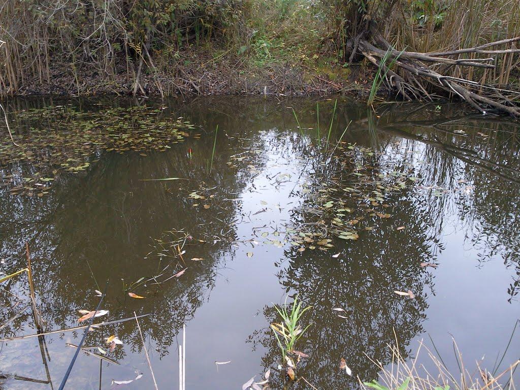 Лихачів з panoramio.com - Lykhachiv