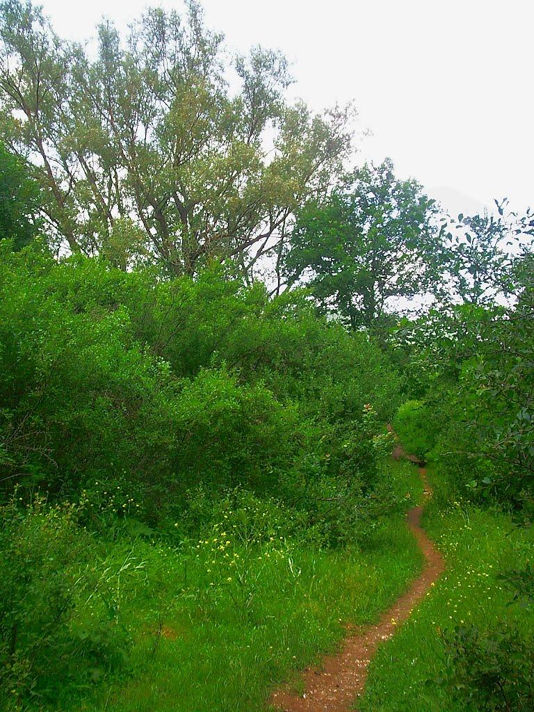 Краснолісся з panoramio.com - Краснолесье