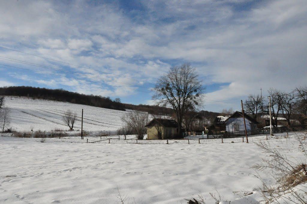 Поляна з panoramio.com - Поляна