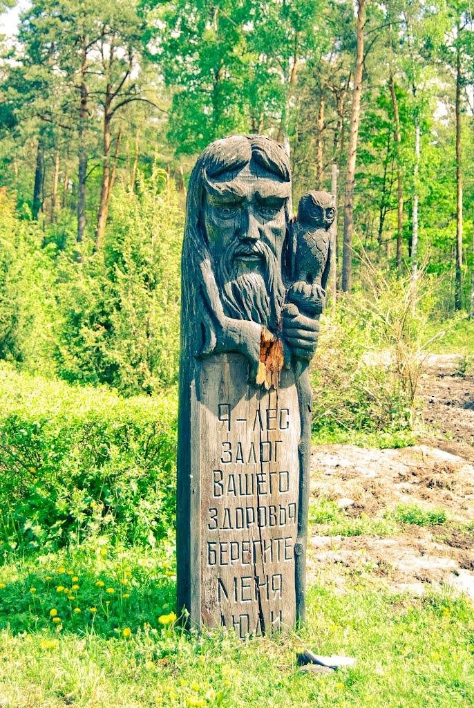 Глушицьке з panoramio.com - Глушицьке