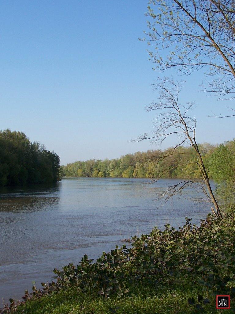 Кремінна з panoramio.com - Кременная