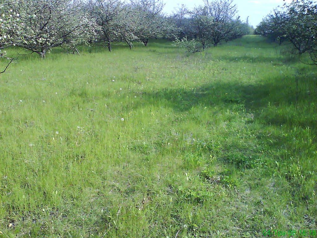 Макіївка з panoramio.com - Макіївка