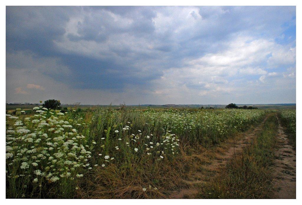 Тишковичі з panoramio.com - Тишковичі