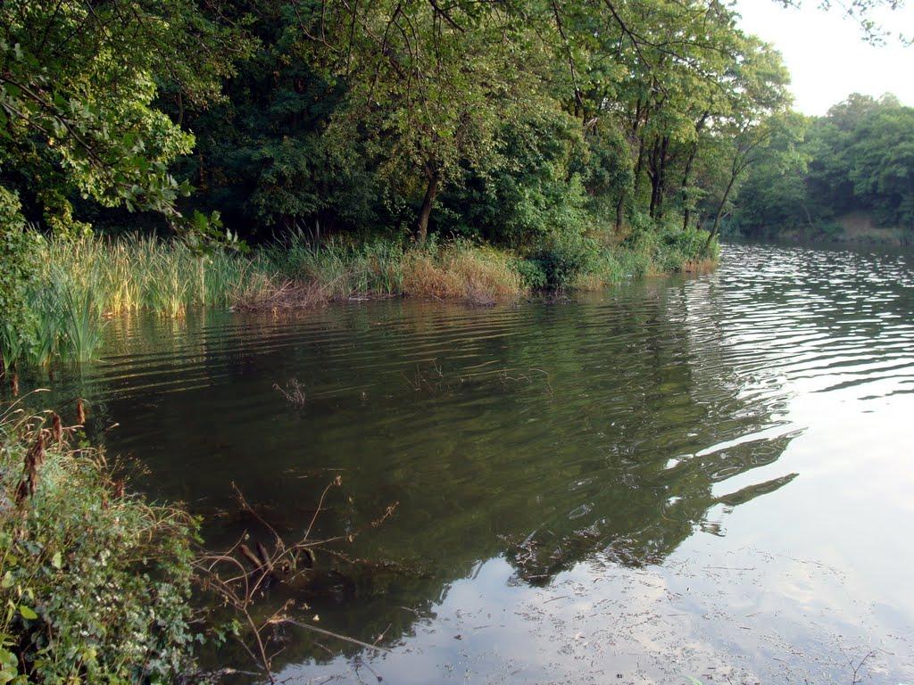 Карло-Марксове з panoramio.com - Карло-Марксово