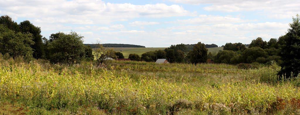 Бахматівці з panoramio.com - Bakhmativtsi